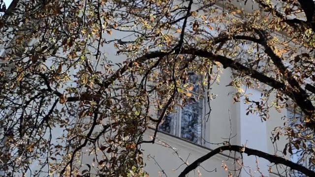 Rusi4 - Прохожий (OFFICIAL VIDEO)