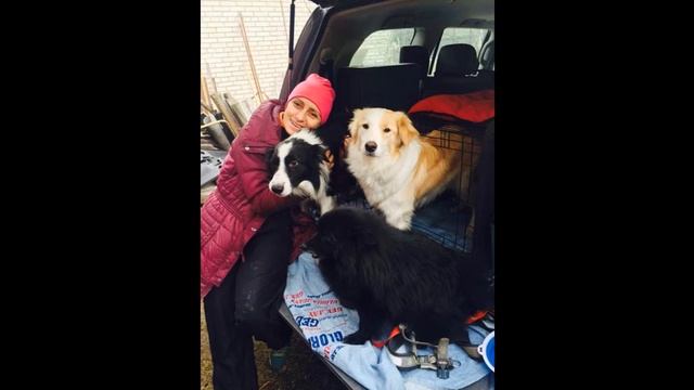 С Днём Рождения Тамила! смотреть онлайн