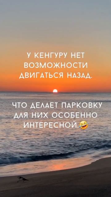 #Тупыешутки🤡 #1 #шутки #тупые #sorts смотреть онлайн