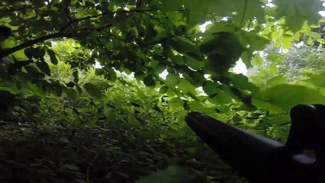 Футаж игра лазертаг в лесу часть 1 Lasertag Gopro