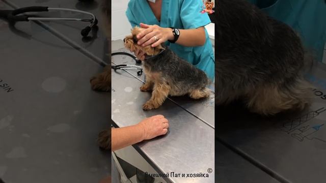 Йорк Патрик | На приёме у доктора смотреть онлайн