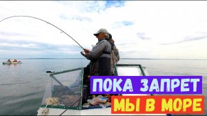 РУКИ ОТВАЛЯТСЯ ТАСКАТЬ ЭТУ РЫБУ! Рыбалка в Балтийском море.