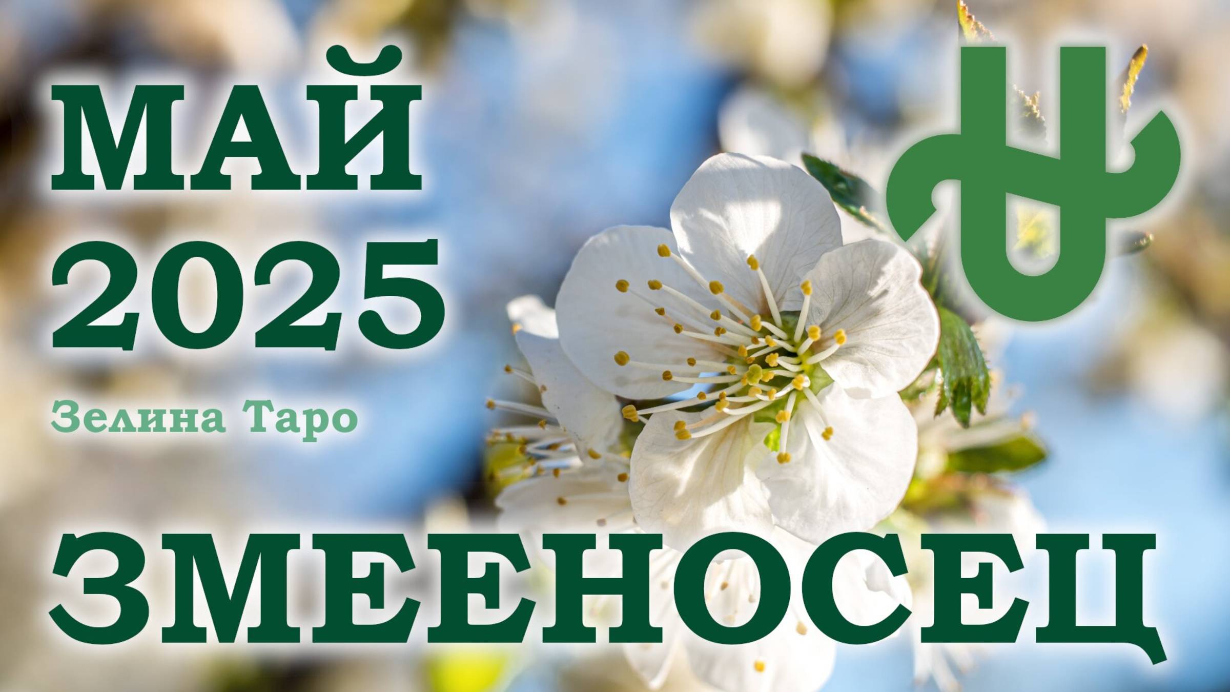 ЗМЕЕНОСЕЦ | ТАРО прогноз на МАЙ 2025 года | Желание | Расклад таро | Таро онлайн