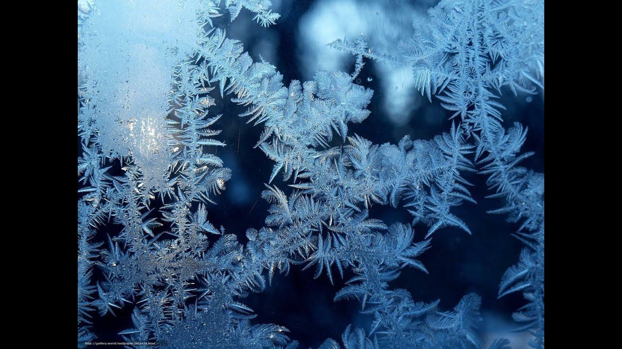 Владислав Витковский. Поздравление с Новым 2021 годом. смотреть онлайн