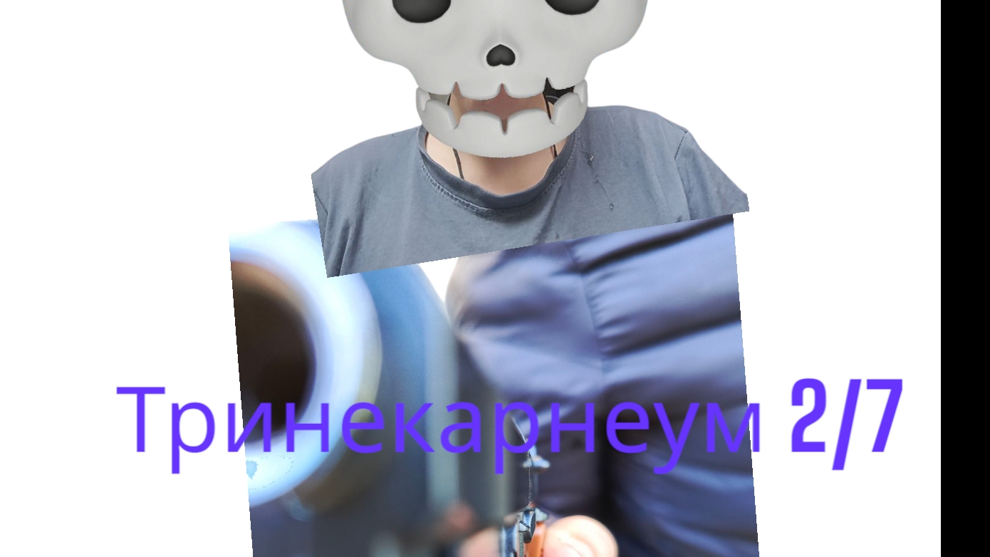 русская рулетка 2/7 триникарнеум