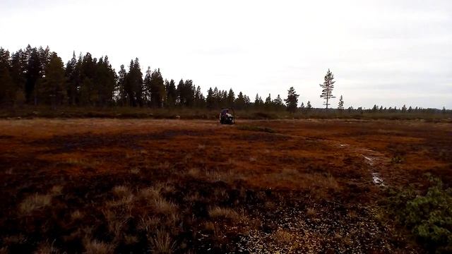 Пахус МД смотреть онлайн