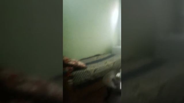 Санатория оби гарм смотреть онлайн