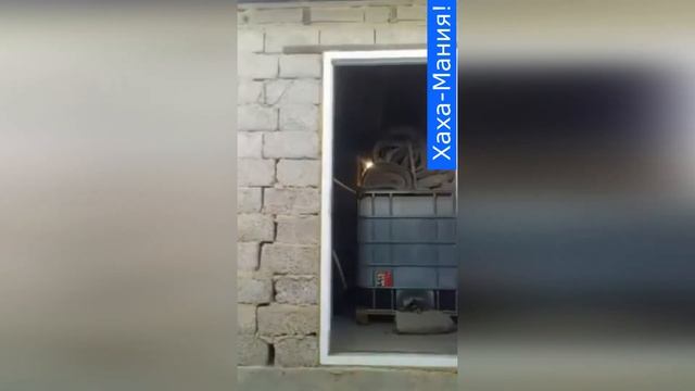 Казахские игры #юмор #пчелы #Казахстан #дети #прикол #улья #хаха-мания! смотреть онлайн