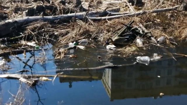 Поиграем в "Беру и помню"??? смотреть онлайн