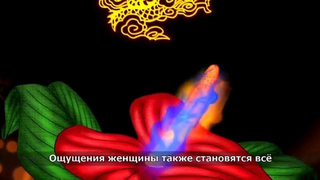 Дракон смотреть онлайн