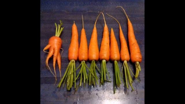 Вечерние приколы (часть 3) смотреть онлайн