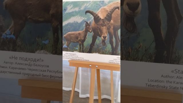 я в Геленджике! обзор на картины художников, очень красиво согласны? смотреть онлайн