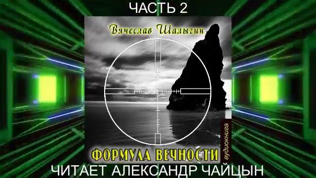 02.02 Вячеслав Шалыгин "Сыщик Туманов" (книга 2) "Формула вечности" (часть 2)