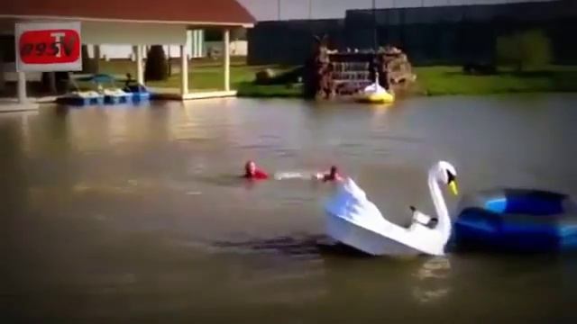 ПРИКОЛ!!! Кадыров упал в воду с утки смотреть онлайн