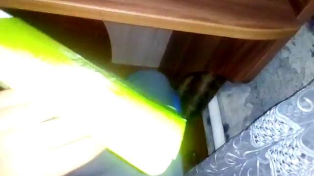 Мир приколов ур смотреть онлайн