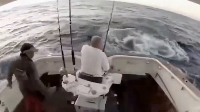 ПРИКОЛЫ НАД ЛЮДЬМИ РЖАЧ смотреть онлайн
