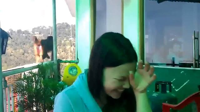 Наглая Обезьяна Прикол!!!!!!!! смотреть онлайн