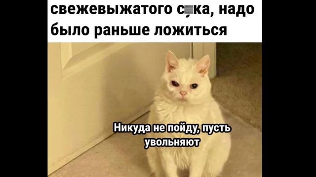 Ржака🤣🤣🤣 спорим ты засмеешься смотреть онлайн