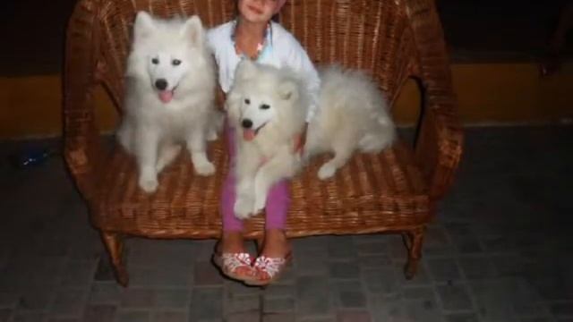 С днём рождения,Лера!!! смотреть онлайн