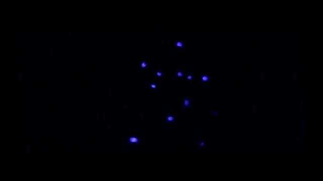 Никто Руслана Ганеева (ЦИРК)