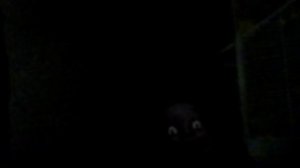 Реальная и очень страшная история. Жесть. Тварь в окне!