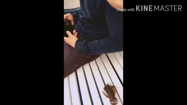 Самые смешные приколы от likee 9 смотреть онлайн