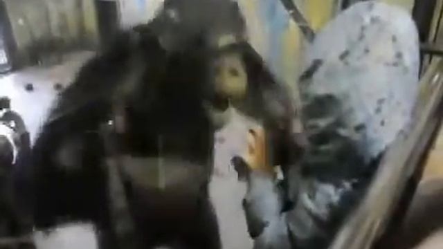 Прикол с обезьяной смотреть онлайн