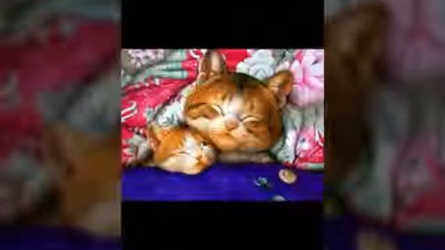 Ты не пожелаешь мне спокойной ночи... смотреть онлайн