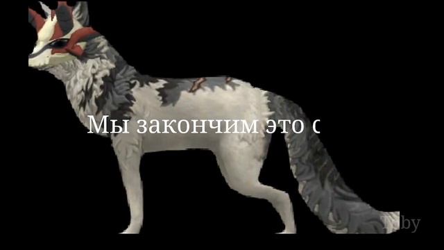 Wcmv Танго For:...👀❤