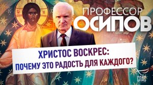 Христос Воскрес: Почему это радость для каждого? / Профессор Осипов