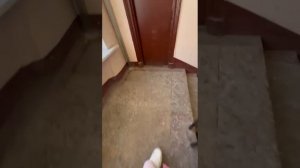 Старо-Петергофский 26