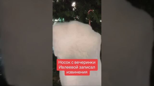 Носок с голой вечеринки Ивлеевой записал извинения прикол #крутыевидео #shortsvideo #смехота #смех смотреть онлайн