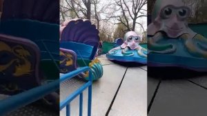 аттракцион 《Ракушка》