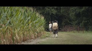 Арахисовый сокол   (2019)