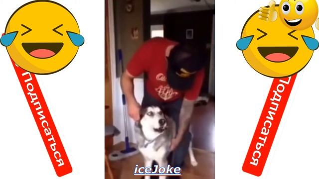 LIKE A BOSS/ПРИКОЛ #4 18+ смотреть онлайн