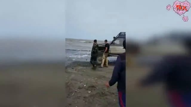 Лучшие Авто приколы! Приколы на дороге! Подборка приколов смотреть онлайн