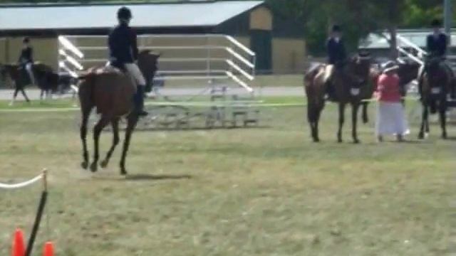 Glamorous - Show Horse смотреть онлайн