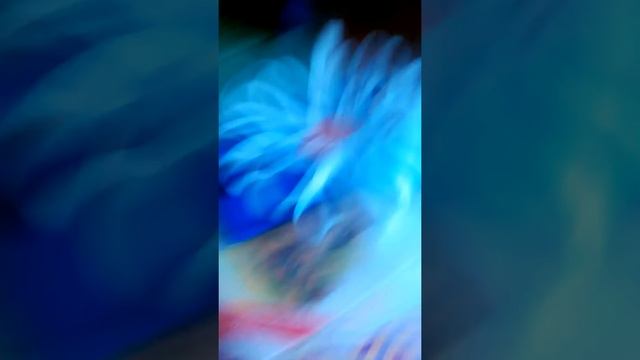 Мой дом смотреть онлайн