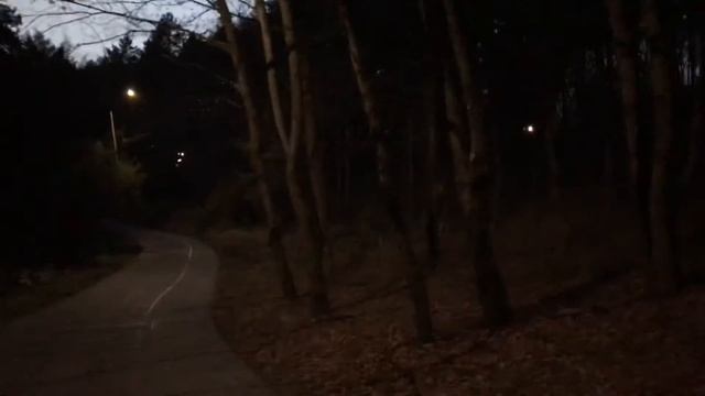 Дорогой дневник. Д334.