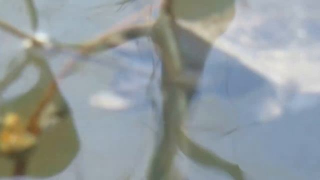 Поздравление на охоте смотреть онлайн