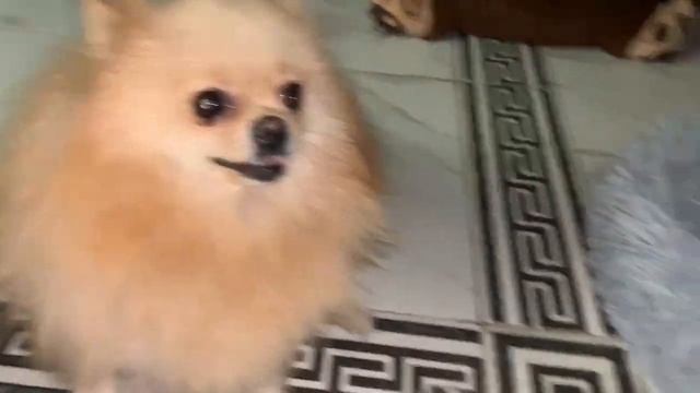 Всем хорошего вечера и доброй ночи. смотреть онлайн