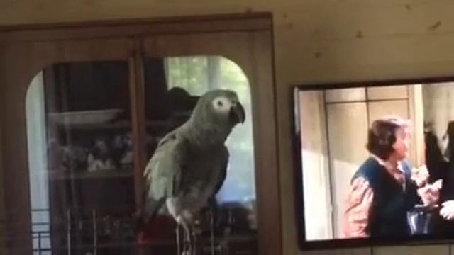 Антошка пойдем копать картошку) смотреть онлайн