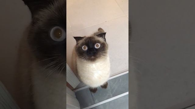 Болтушка смотреть онлайн
