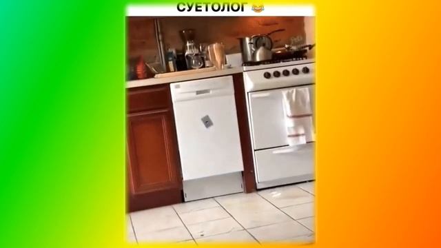 СМЕШНОЕ ПРО ЖИВОТНЫХ Создай себе хорошее настроение смотреть онлайн