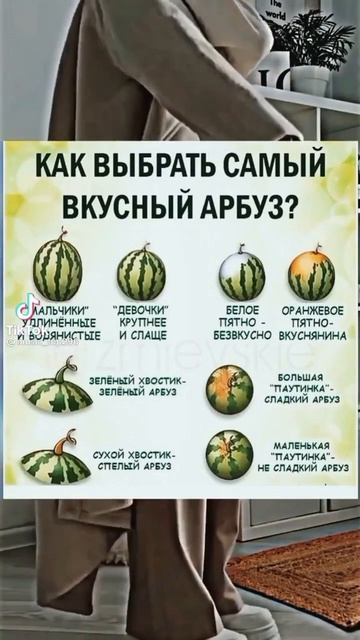 Теперь ты знаешь #shorts #ютуб #прикол #мем #мемы #юмор #funny #смех смотреть онлайн