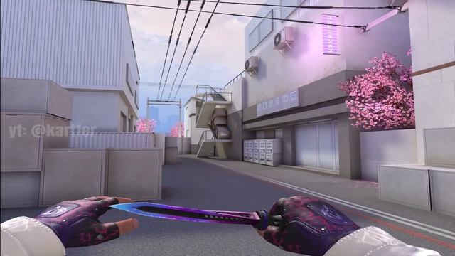 Gloves “Royal Rose” + JKommando “Floral” | #standoff2