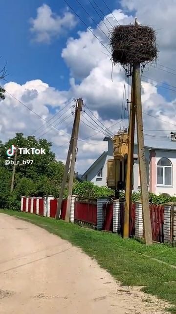 Чотириповерхове гніздо. Four story nest. смотреть онлайн