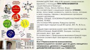 Ян-Шэн терапия с позиции ИНЬ-ЯН и У-СИН