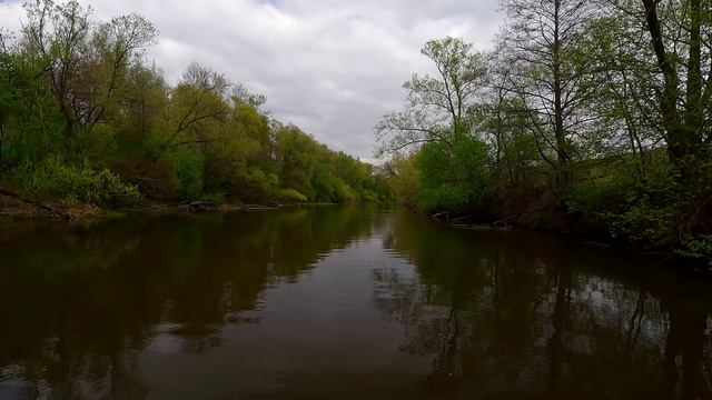 20 км Осётр от Новокулёмово до Б.Белыничей 26042025 смотреть онлайн