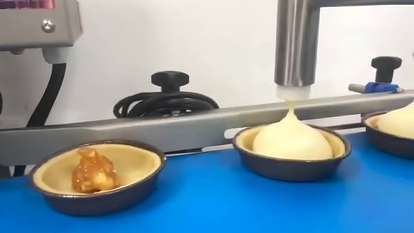 Депозитор кондитерский с транспортером Danler NFS-1000 C